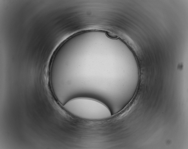 X0000103320892200809050957