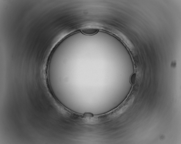 X0000103320893200809050957