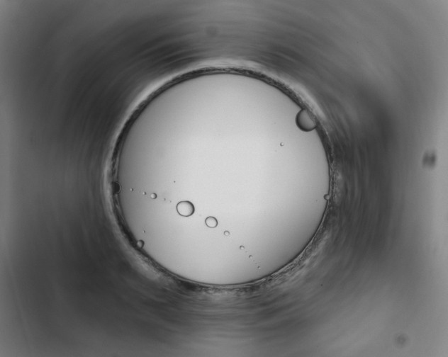 X0000103320895200809050957