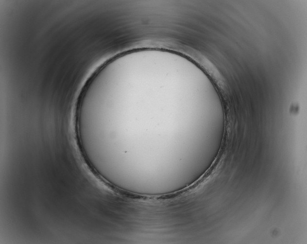 X0000103320896200809050957