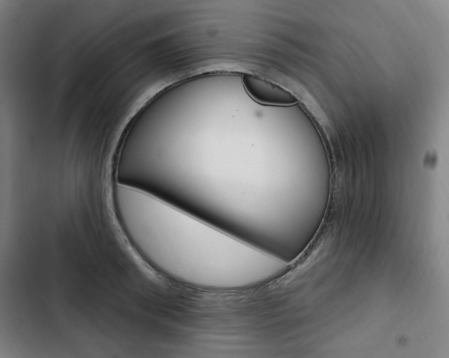 X0000103320898200809050956