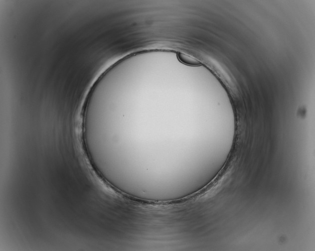 X0000103320900200809050956