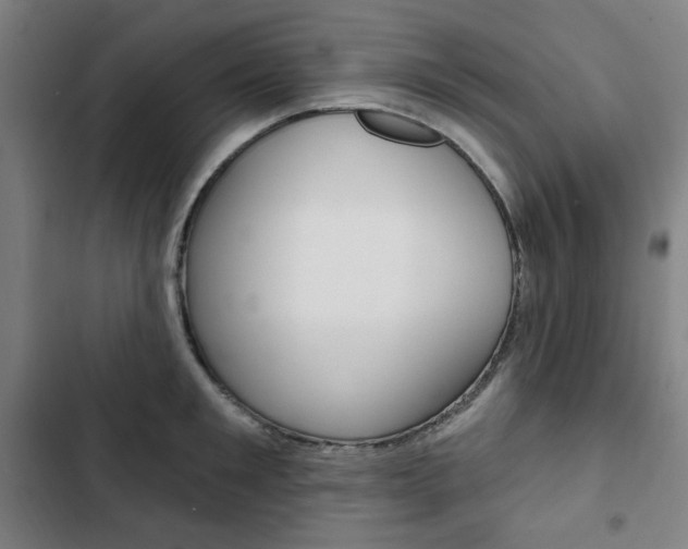 X0000103320901200809050956