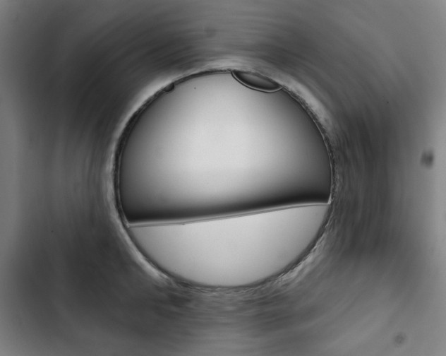 X0000103320902200809050956
