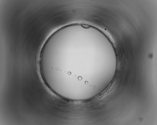 X0000103320903200809050956