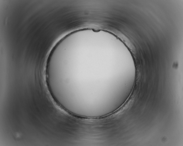 X0000103320904200809050956