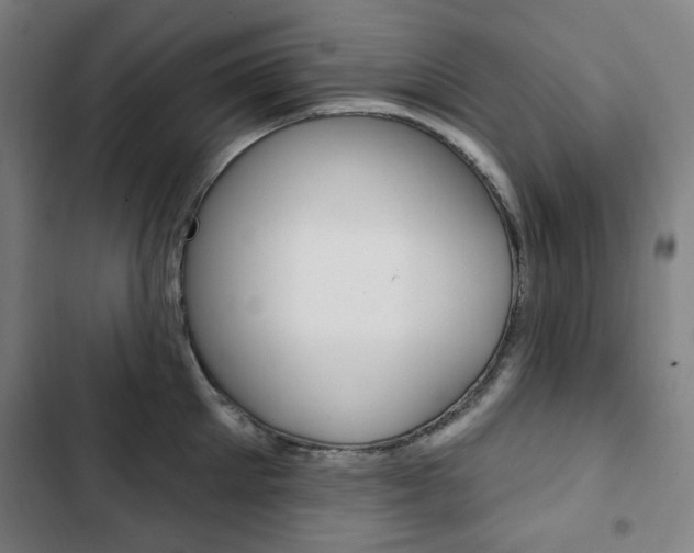 X0000103320905200809050956