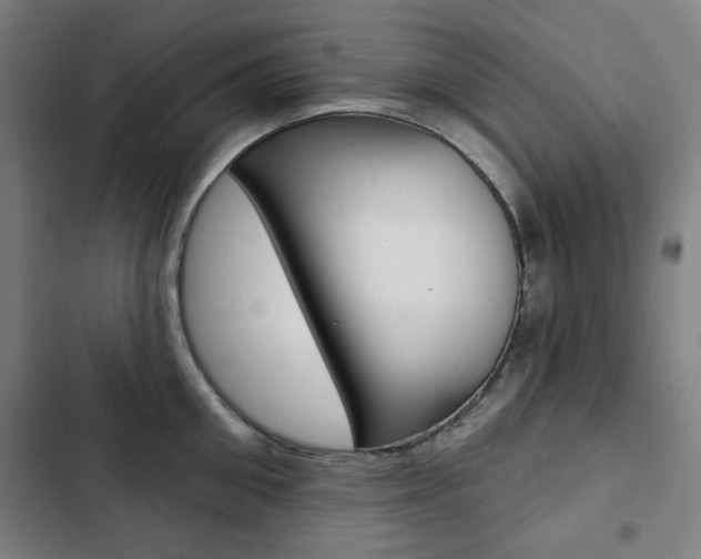 X0000103320906200809050956