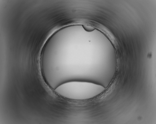 X0000103320907200809050956