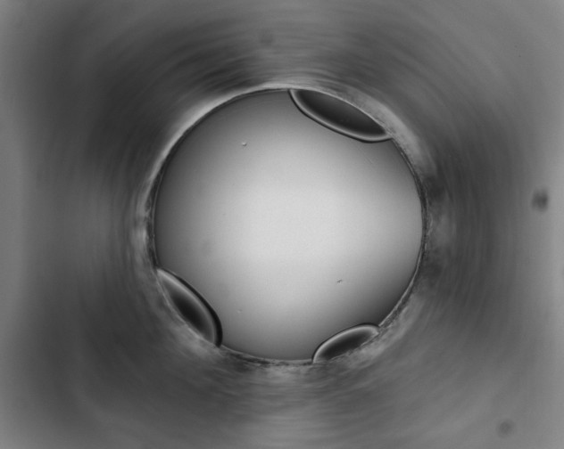 X0000103320908200809050956