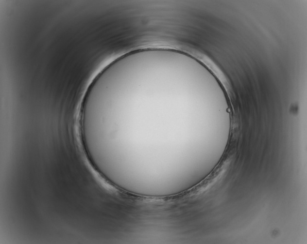 X0000103320909200809050956
