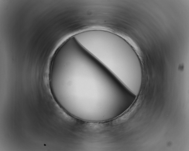 X0000103320910200809050956