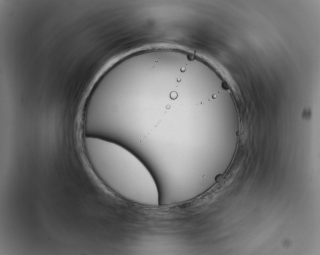 X0000103320911200809050956