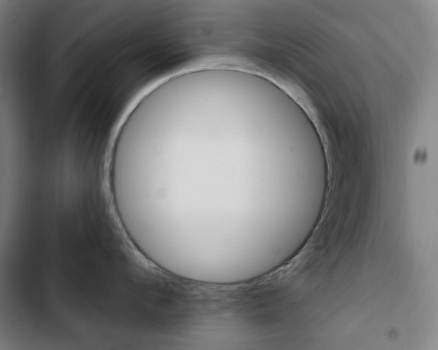 X0000103320912200809050956