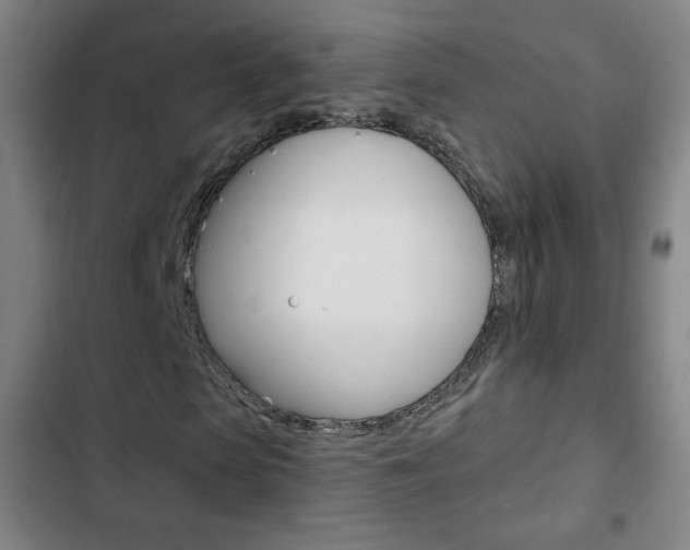 X0000103320913200809050956