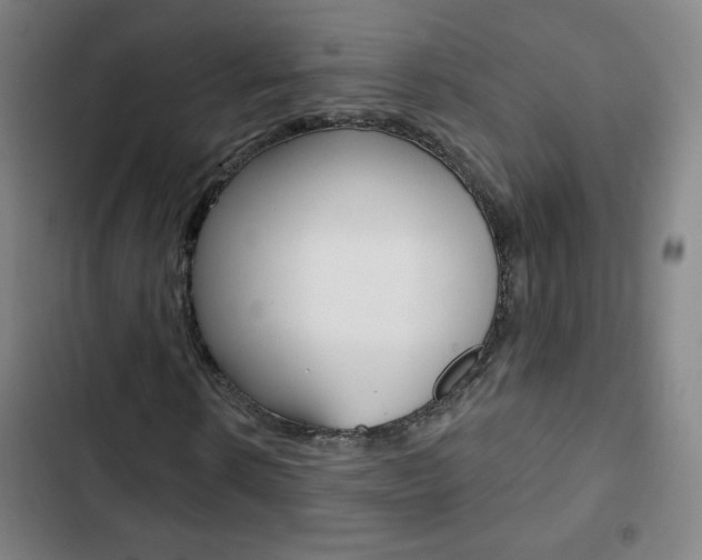 X0000103320914200809050956