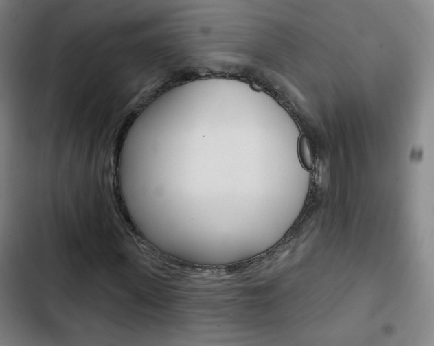 X0000103320915200809050956