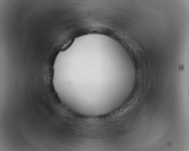 X0000103320916200809050956