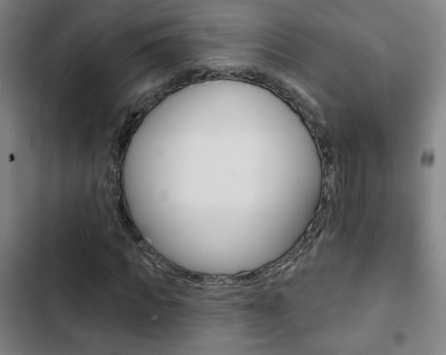 X0000103320917200809050956