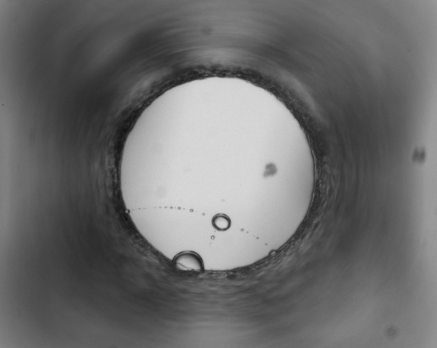 X0000103320918200809050956