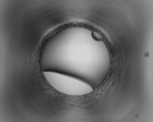 X0000103320919200809050956