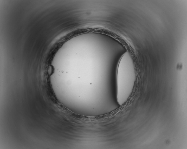 X0000103320920200809050956