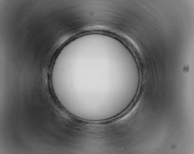 X0000103320921200809050956