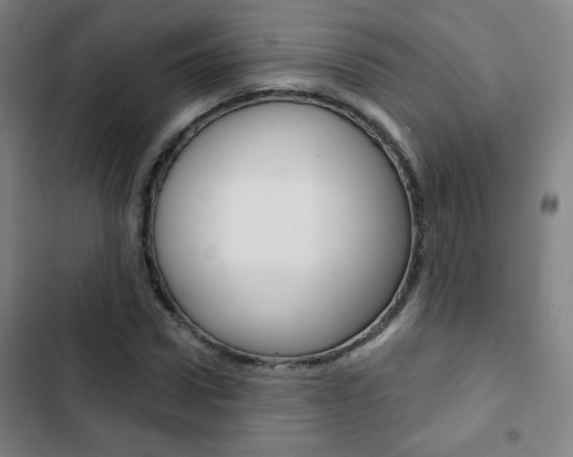 X0000103320922200809050956