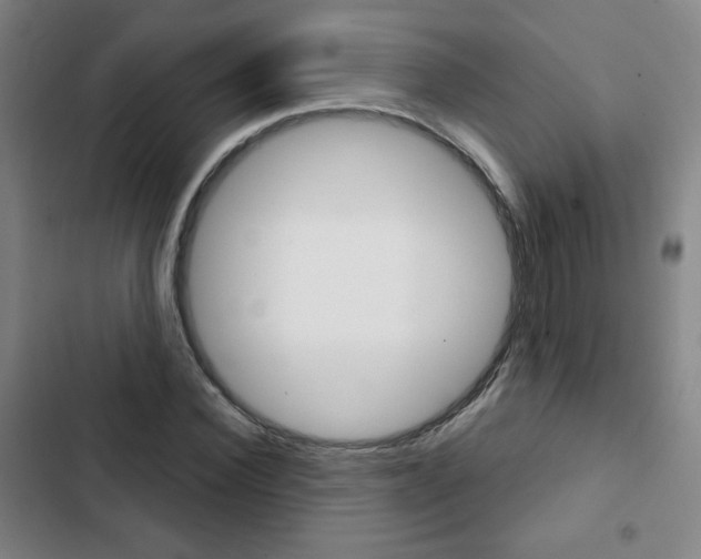 X0000103320924200809050956