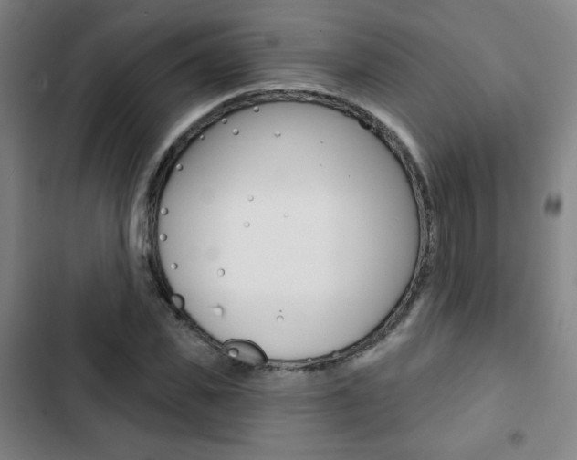 X0000103320925200809050956