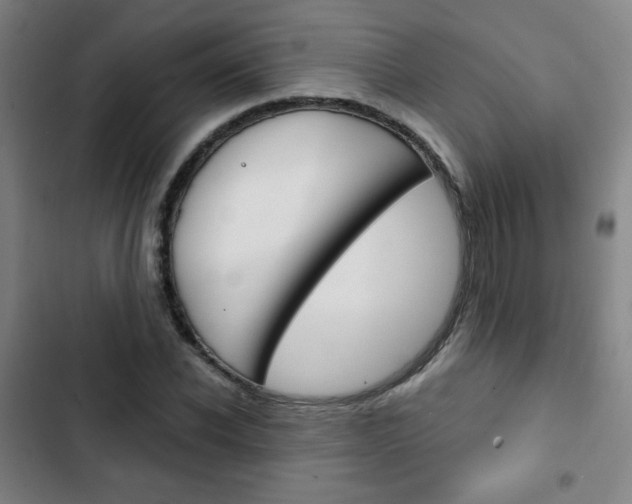 X0000103320926200809050956