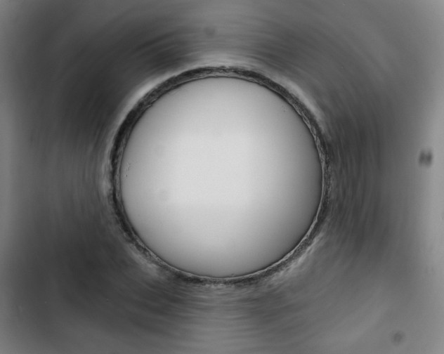 X0000103320927200809050956