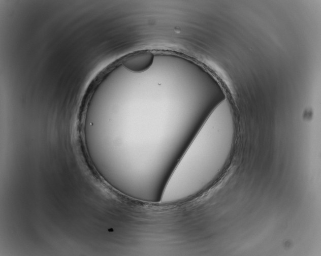 X0000103320928200809050956
