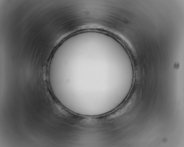 X0000103320929200809050956