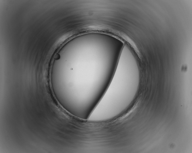 X0000103320930200809050956