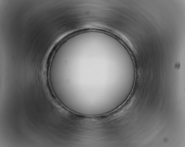 X0000103320931200809050956