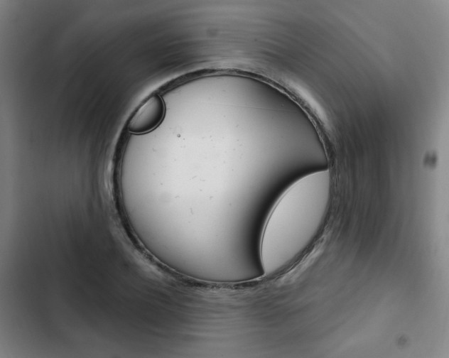 X0000103320932200809050956