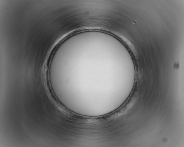 X0000103320933200809050956