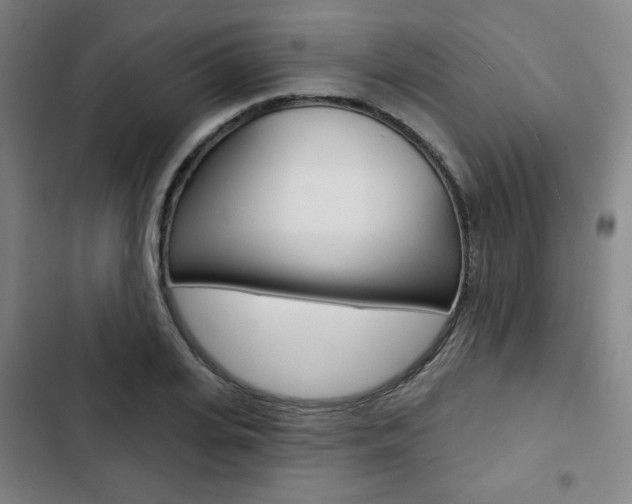 X0000103320935200809050956