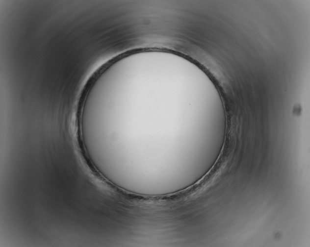 X0000103320936200809050956