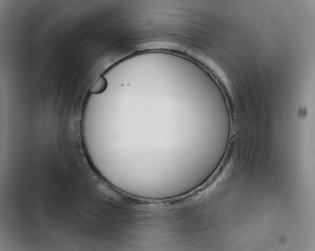 X0000103320937200809050956