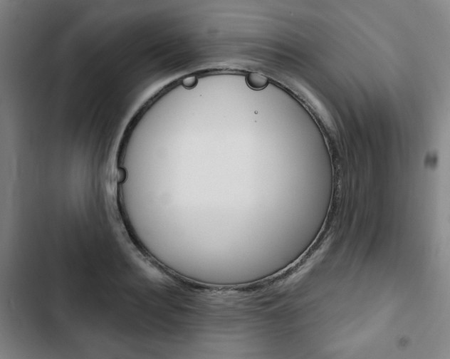 X0000103320940200809050956
