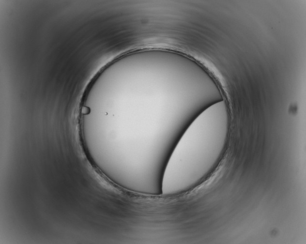 X0000103320941200809050956
