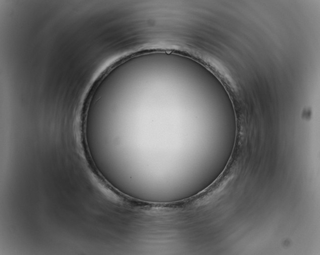 X0000103320942200809050956