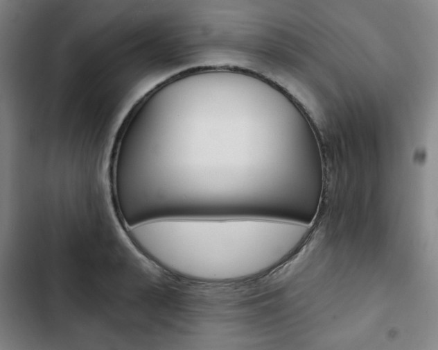 X0000103320943200809050956