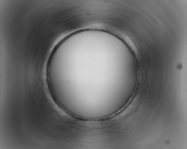 X0000103320944200809050956
