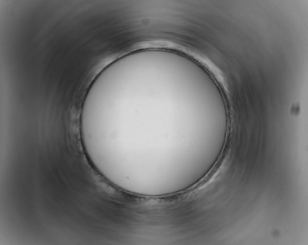 X0000103320945200809050956