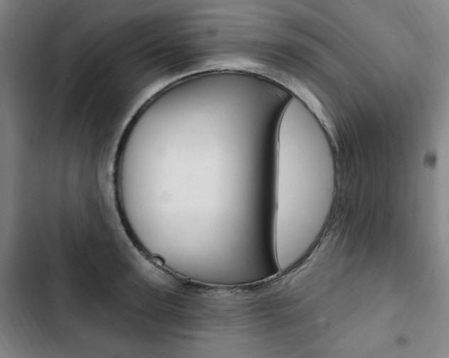 X0000103320947200809050956