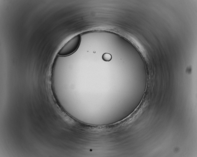 X0000103320948200809050956