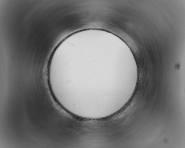X0000103320950200809050956